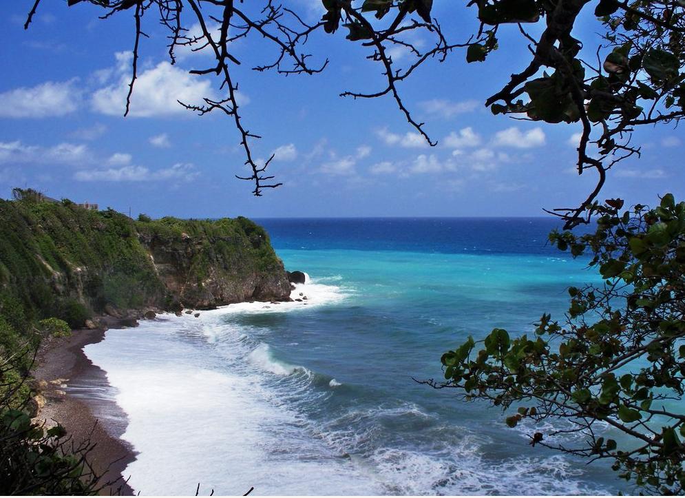The View At Mystic Ridge Penthouse 78A Leilighet Ocho Rios Eksteriør bilde