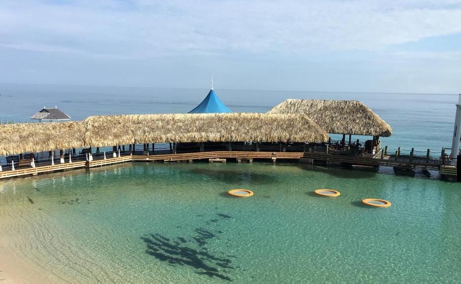 The View At Mystic Ridge Penthouse 78A Leilighet Ocho Rios Eksteriør bilde